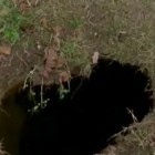 A sinkhole that recently opened up on Lucie Webner's yard.