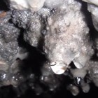 A baby stalactite.