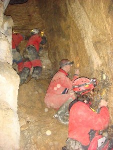 Researchers on the hunt for Zospeum in cave of Northern Spain