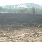 The freshly scorched terrain of Wind Cave National Park.