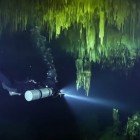 Exploring the Dark Cave's black halocline.