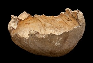 A human skull-cup uncovered in Gough's Cave in Somerset, England.