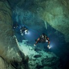 Tom Iliffe diving in a Bermuda cave where he found blind crustaceans.