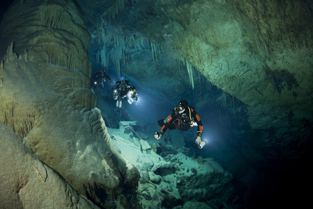 Tom Iliffe diving in a Bermuda cave where he found blind crustaceans.