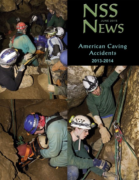Cover of the June 2015 Issue of NSS News. 