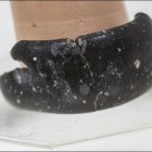 A stone bracelet found in Siberia's Denisova Cave.