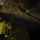 Glow worms in the twilight zone of a New Zealand cave.