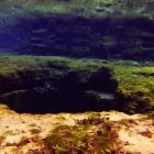 The entrance to Florida's Devil's Eye cave system.