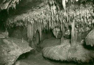 Formations inside Buchan's Fairy Cave.