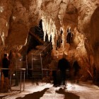 Waitomo Caves.