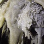 Formations inside Grotte des Escargots.